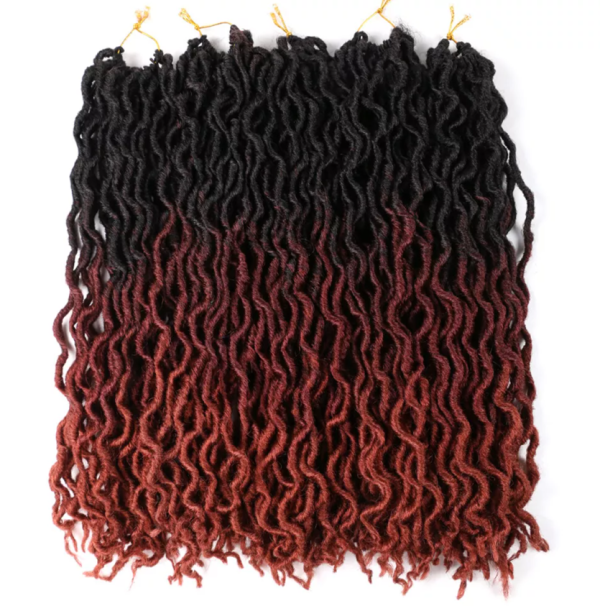 Faux Gypsy Locs Crochet - Image 5
